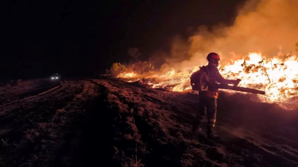 Dados indicam que 1,6 milhões de hectares do Pantanal de MS foram destruídos pelo fogo