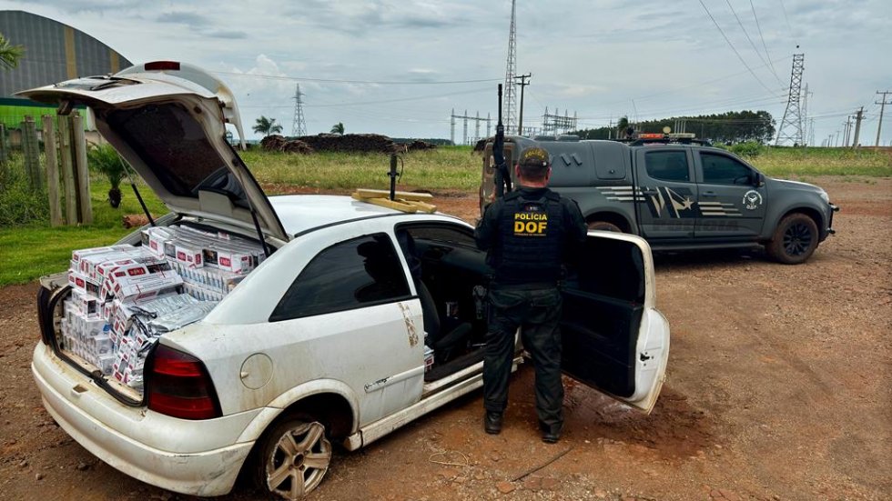 DOF apreende mais de 200 quilos de drogas em meio a carga de cigarro e agrotóxico