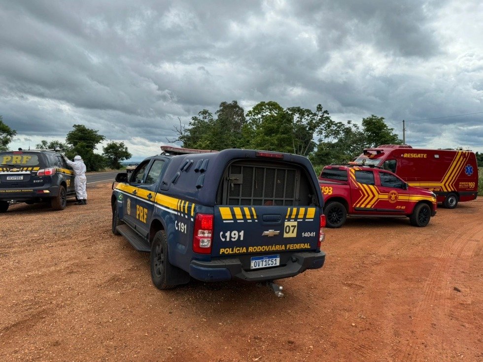 NOVA ANDRADINA: Em fuga da PRF, homem morre após ataque de abelhas