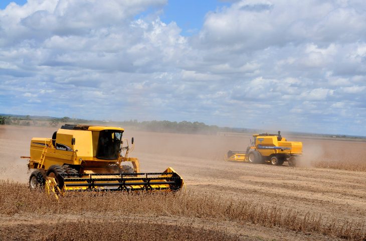 Produção agrícola de Mato Grosso do Sul deve chegar a 75,3 milhões de toneladas na safra 2024/25